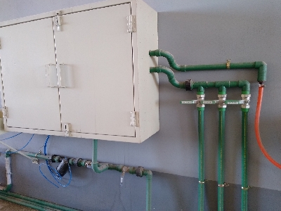 Foto de Control de insectos vivos